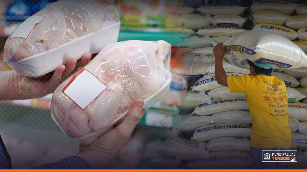 Granjas de producción de pollo en la región de Moca-Licey.